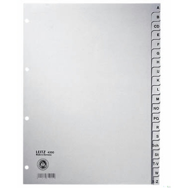 LEI4300